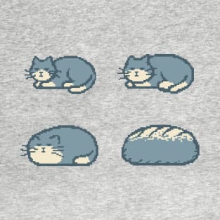 Cat Bread Loaf Evolution T-Shirt